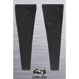 Спортивні штани чоловічі прямі PUMA розміри 2XL-6XL (2кв) "REMAIN" недорого від прямого постачальника