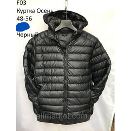 Фотография Куртка мужская демисезонная  стеганная размеры 48-56 (2цв) "NEW NOCE" недорого от прямого поставщика