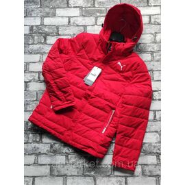 Фотография Куртка мужская демисезонная, puma размеры 48-56 (3цв) "SPORT" недорого от прямого поставщика