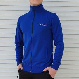 Кофта спортивна чоловіча 23-1-3 blue р.M-2XL "VICTORY" недорого оптом від прямого постачальника