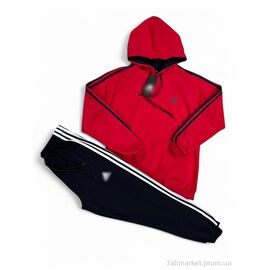 Фотография Спортивный костюм мужской Весна/осень 209 red-black (5 шт. р.сетка M-3XL) "Verton" недорого оптом от прямого поставщика