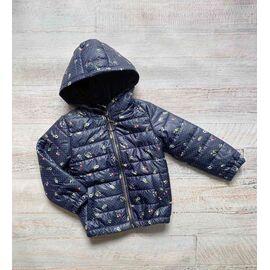 Фотография Куртка детская демисезонная на девочку 2202 navy р.104-122 "LIMA SPORT" недорого оптом от прямого поставщика