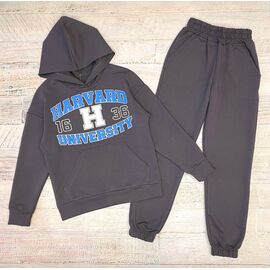 Костюм дитячий спортивний на дівчинку 2403 grey-blue р.128-152 "LIMA SPORT" недорого оптом від прямого постачальника