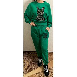 Фотография Костюм спортивный женский тёплый 0133 green р.S-L "Red Hat" недорого оптом от прямого поставщика