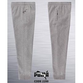 Фотография Спортивные штаны мужские прямые PUMA размеры 2XL-6XL (3цв) "REMAIN" недорого от прямого поставщика