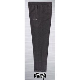 Фотография Спортивные штаны мужские прямые PUMA  размеры L-3XL (2цв)"REMAIN" недорого от прямого поставщика
