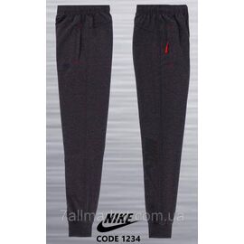 Фотография Спортивные штаны на манжете NIKE на мальчика 152-176 см "REMAIN" купить недорого от прямого поставщика