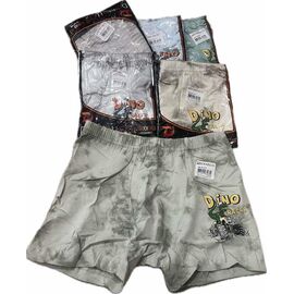 Труси дитячі на хлопчика OX75 mix р.8-9 "Annet" недорого оптом від прямого постачальника