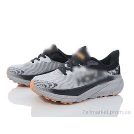 Фотография Кроссовки женские модные Весна/осень HD73 (1106)-2 grey (8 пар р.36-41) "Violeta" недорого оптом от прямого поставщика