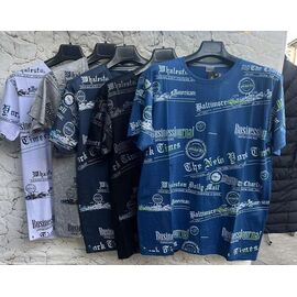 Футболка чоловіча LN42 mix р.56-64 "Lina" недорого оптом від прямого постачальника