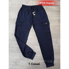 Спортивні штани чоловічі р-ри M — 3xl (46-54) (3кв)"NICOLAS" недорогого від прямого постачальника