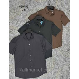 Сорочка чоловіча Regular Fit стильна розміри L-4XL (3кв)"PROSTOMEN" недорого від прямого постачальника