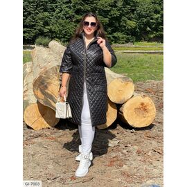 Фотография Куртка-пальто женская большого размера р.48;50;52;54;56;58;60;62;64;66;68;48  "VLADA" купить недорого от прямого поставщика