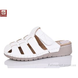 Шльопанці жіночі полегшені Літо 2540-2 (8 пар р.37-42) "WSMR" недорого оптом від прямого постачальника