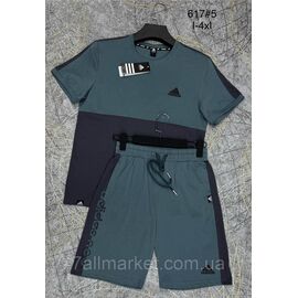 Фотография Спортивный костюм мужской с шортами р-ры L-4XL (2цв) "PROSTOMEN" недорого от прямого поставщика