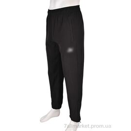 Спортивні штани чоловічі Літо 4033-A06-1 black (5 шт. р.сіткаM-3XL) "Мир" недорого оптом від прямого постачальника