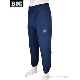 Фотография Спортивные брюки мужские Лето 4033-A01-2 navy (5 шт. р.сетка M-3XL) "BIG" недорого оптом от прямого поставщика