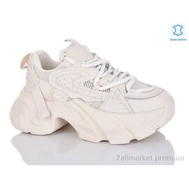 Кросівки жіночі модні Весна/осінь WDP1810-118 (6 пар р.36-41) "Teetspace-Trasta-Egga" недорого оптом від прямого постачальника