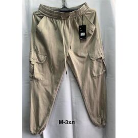 Фотография Штаны мужские 3002 beige р.M-3XL "WELL" недорого оптом от прямого поставщика