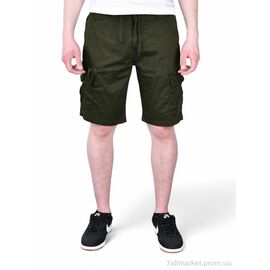 Шорти чоловічі Літо AK637-3 (8 шт. р.сітка30-38) "Baron" недорого оптом від прямого постачальника