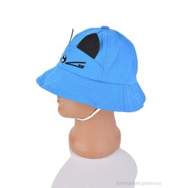 Фотография Панамка Лето 3021-3 blue (5 шт. р.сетка 48-50) "KUINH" недорого оптом от прямого поставщика