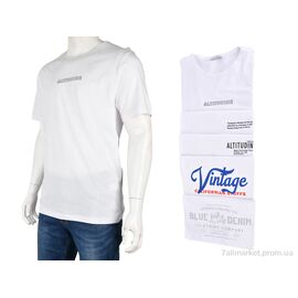 Фотография Футболка мужская Лето 10229-2 white mix (5 шт. р.сетка S-2XL) "Obuvok" недорого оптом от прямого поставщика