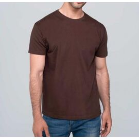 Футболка чоловіча 80 brown р.2XL-5XL "VICTORY" недорого оптом від прямого постачальника