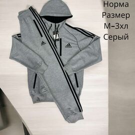 Фотография Костюм спортивный мужской H251 grey р.M-3XL "Hai" недорого оптом от прямого поставщика