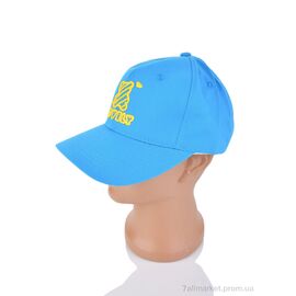 Фотография Кепка детская Лето 6008-11 blue (5 шт. р.сетка 50-52) "KUINH" недорого оптом от прямого поставщика