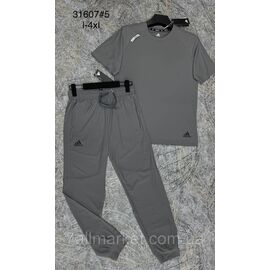 Фотография Спортивный костюм мужской на манжете размеры L-XL(4цв)"PROSTOMEN" недорого от прямого поставщика