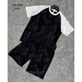 Фотография Спортивный костюм мужской с шортами р-ры L-4XL (3цв) "PROSTOMEN" недорого от прямого поставщика