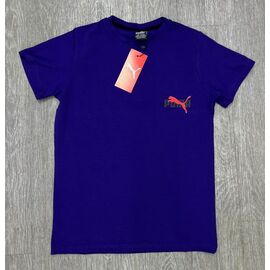 Фотография Футболка детская на мальчика 272-2P blue р.9-13 "MirWear kids" недорого оптом от прямого поставщика