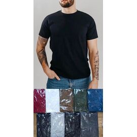 Футболка чоловіча FI1007 white р.46-54 "sss Annet" недорого оптом від прямого постачальника