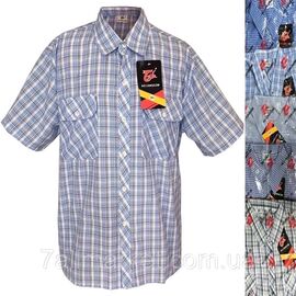 Фотография Рубашка мужская коттон, в клетку размер XL-5XL(48-56)(МИКС) "NICOLAS" недорого от прямого поставщика