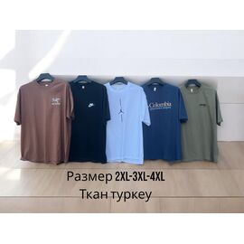 Футболка чоловіча P30 brown р.2XL-4XL "Phi Hung" недорого оптом від прямого постачальника