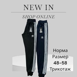 Штани спортивні чоловічі P47 navy р.48-58 "Phi Hung" недорого оптом від прямого постачальника