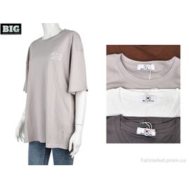 Футболка жіноча Літо 4064-2466 mix (5 шт. р.сіткаOne size) "BIG" недорого оптом від прямого постачальника