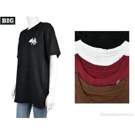 Футболка жіноча Літо 4064-04302 mix (5 шт. р.сіткаOne size) "BIG" недорого оптом від прямого постачальника