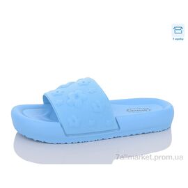 Фотография Шлепки женские облегченные Лето X31 blue (8 пар р.36-41) "Hongquan" недорого оптом от прямого поставщика