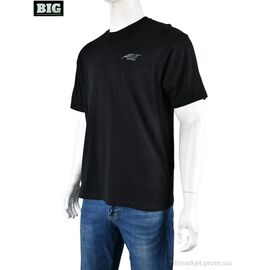 Футболка чоловіча Літо 4072-M03-1 black (5 шт. р.сіткаM-3XL) "BIG" недорого оптом від прямого постачальника