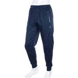 Штани спортивні чоловічі 109 blue р.XL-5XL "Logaster" недорого оптом від прямого постачальника
