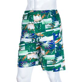 Фотография Шорты мужские 777-9 green р.48-54 "Meisty" недорого оптом от прямого поставщика