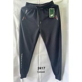 Фотография Штаны спортивные мужские 2417 navy р.XL-5XL "WELL" недорого оптом от прямого поставщика
