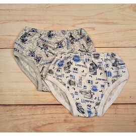 Труси дитячі на хлопчика 26-02-2 white р.98-104 "Webi" недорого оптом від прямого постачальника