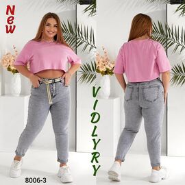 Фотография Джинсы женские 8006-3 grey р.30-36 "Vidlyry" недорого оптом от прямого поставщика