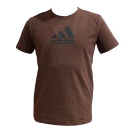 Фотография Футболка детская на мальчика SV298 brown р.3-7 "WHITE" недорого оптом от прямого поставщика