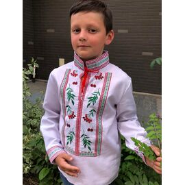 Фотография Вышиванка детская на мальчика M8 white р.128-146 "Moda school" недорого оптом от прямого поставщика