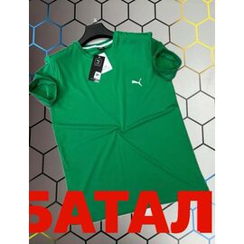 Футболка чоловіча 4391 green р.2XL-6XL "Alex Clothes" недорого оптом від прямого постачальника