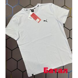 Футболка чоловіча 4392 white р.2XL-6XL "Alex Clothes" недорого оптом від прямого постачальника