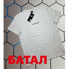 Футболка чоловіча 4396 white р.2XL-6XL "Alex Clothes" недорого оптом від прямого постачальника